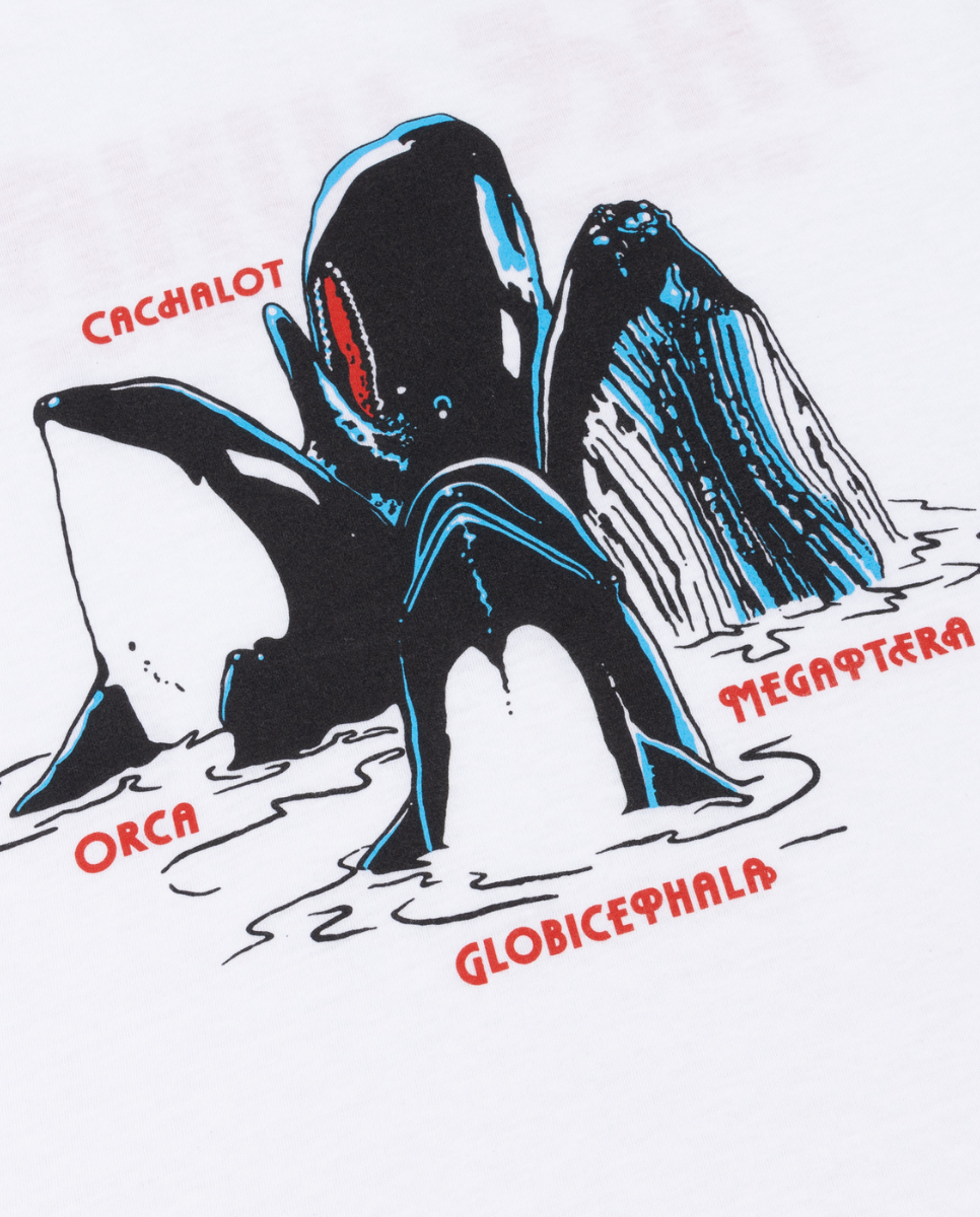 Whale Tour T-Shirt White