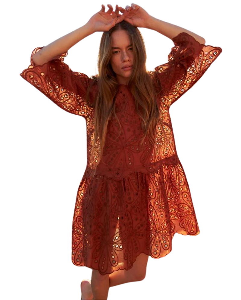 Embroidered Mini Dress Brown 38 Embroidered Mini Dress Brown 38